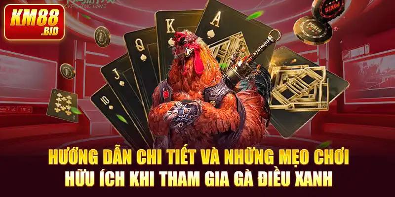 4 huong dan chi tiet va nhung meo choi huu ich khi tham gia ga dieu